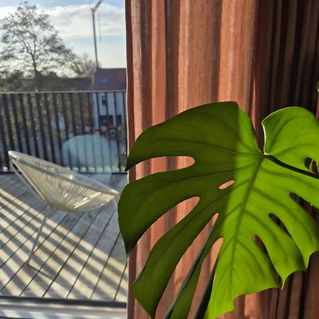 Julie's Aan Zee - Jaaz Lägenhet *