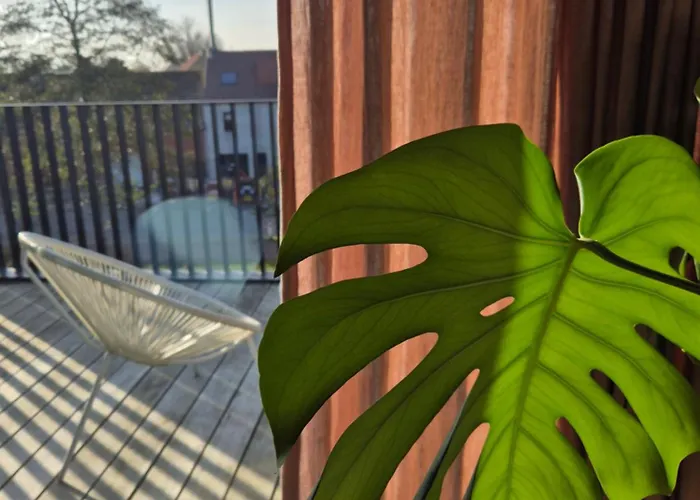 Julie's Aan Zee - Jaaz 아파트 *